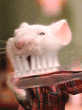 la souris